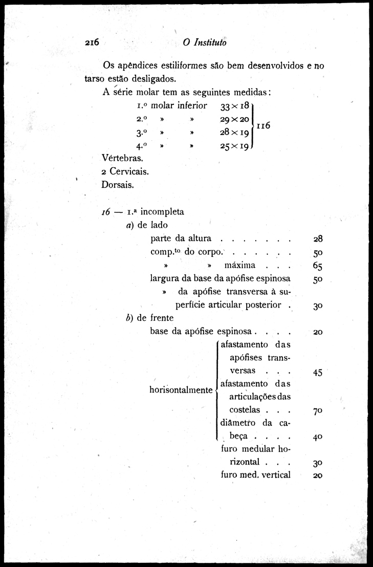 216 [191 KB] 