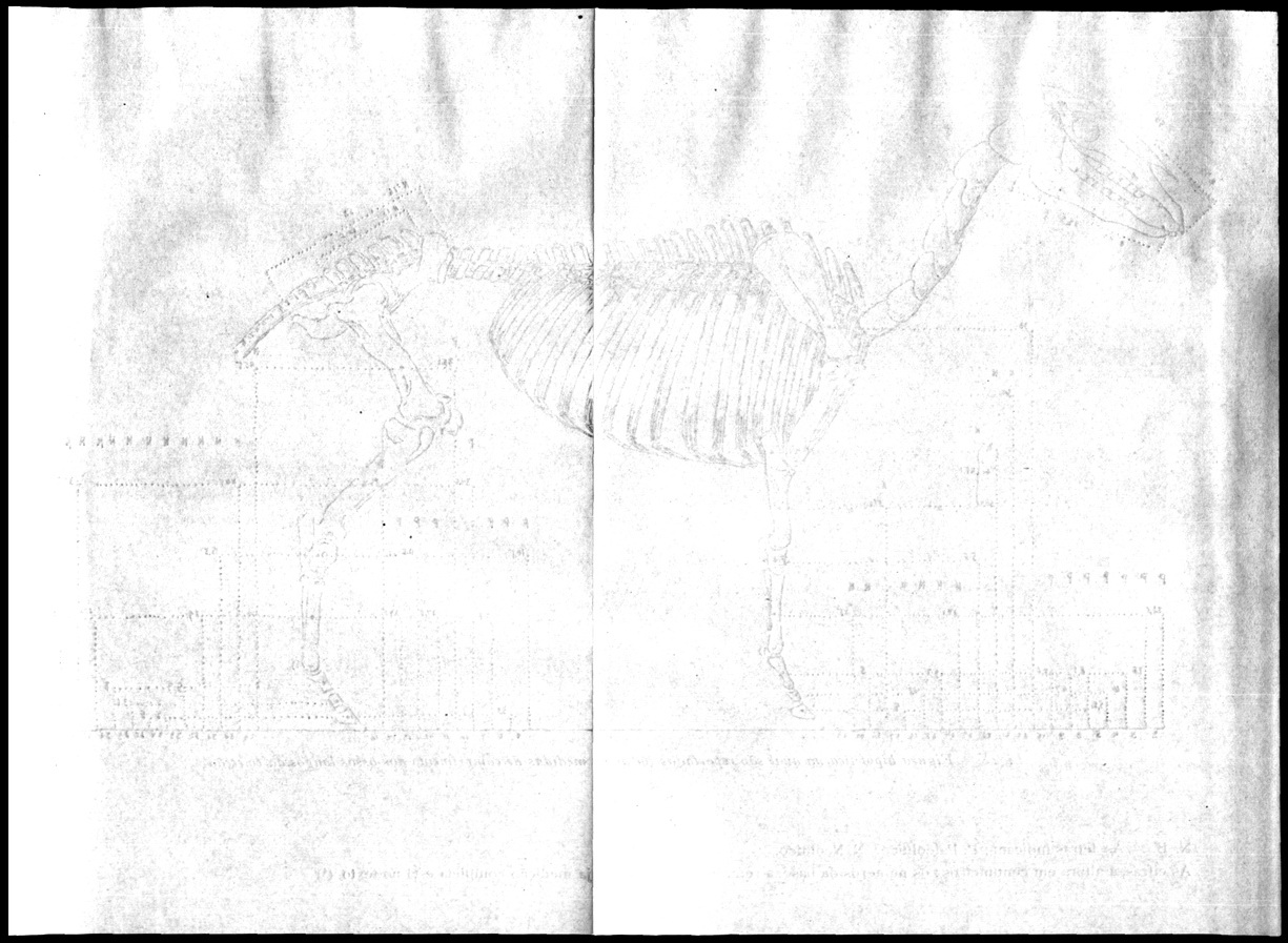 b [333 KB] 