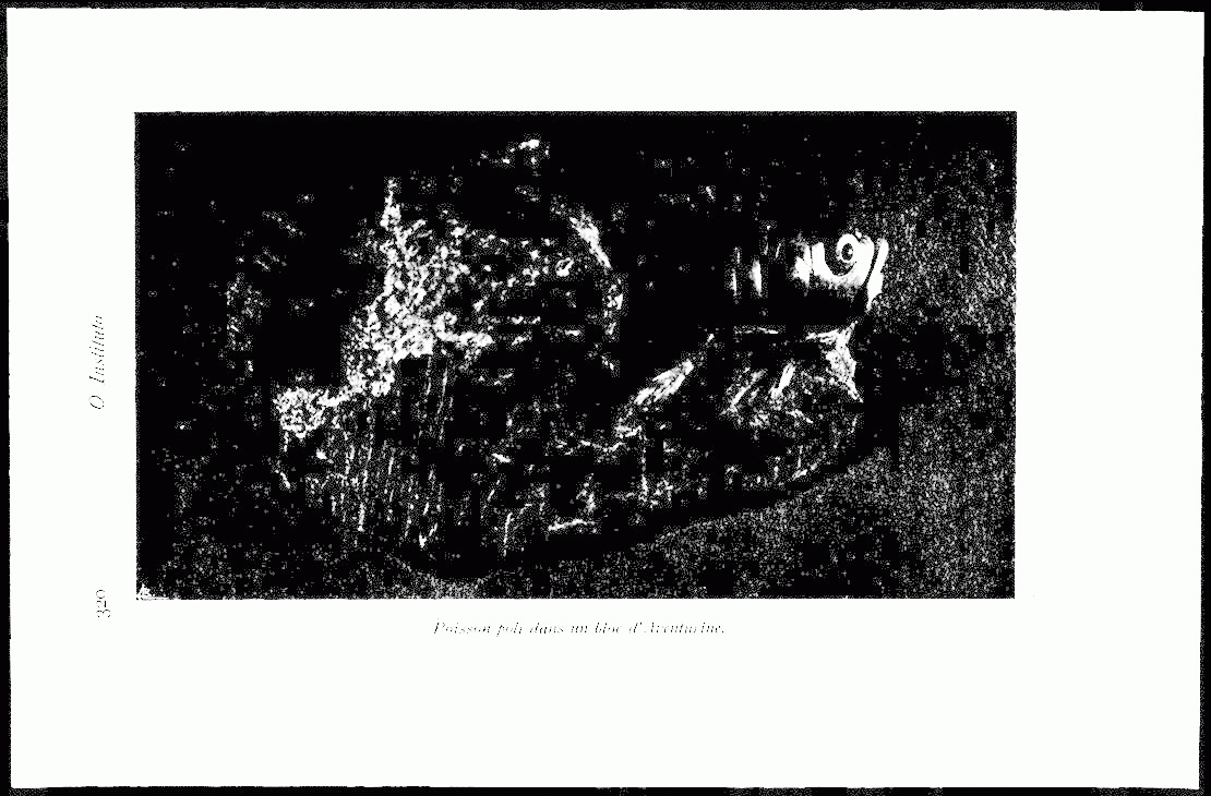 320 [188 KB] 
